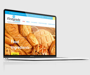 Custom Web Development Custom Web Development