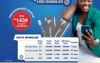 Econet's 'Smart USD Bundles'